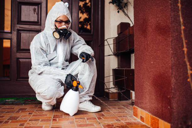 Reliable Cockroach Control contractor in Town and Country, MO by Nex Pest Control